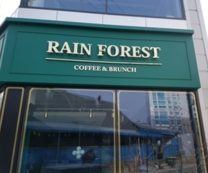 강서동 레인포레스트 커피숍
