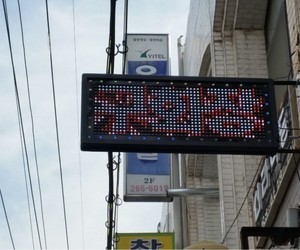 사창동 낙타속눈썹